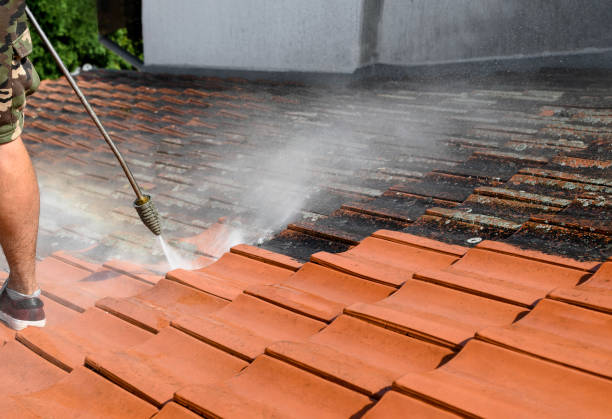 Best Roof Pressure Washing  in Hudson, TX